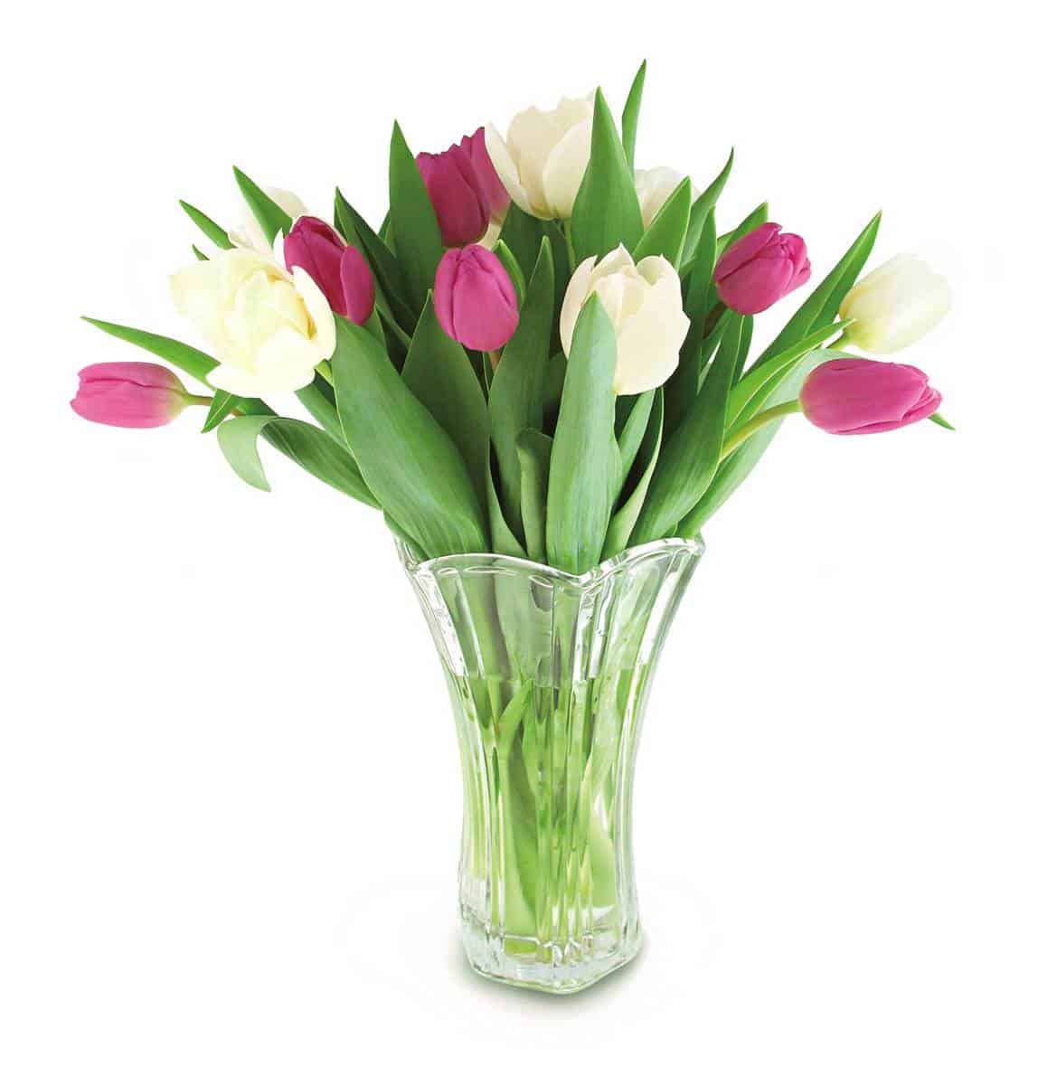 Tulip-bouquet-on-glass