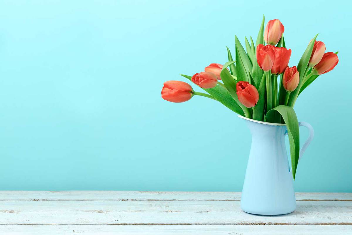 Tulip-flower-bouquet