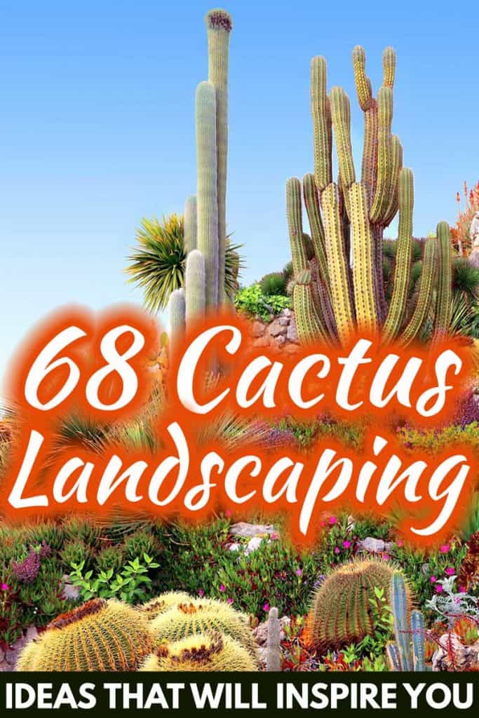 68 Cactus Landscaping Ideas That Will, Cactus Garden Ideas