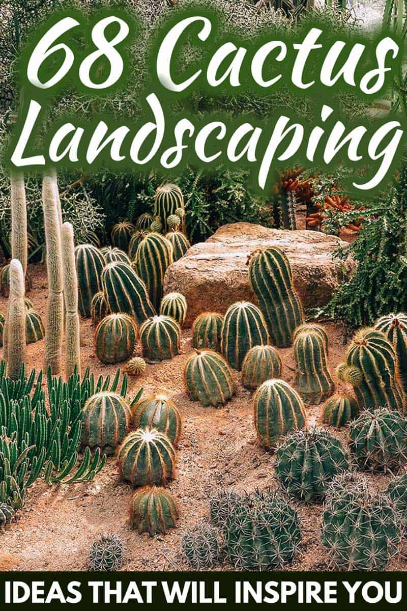 68 Cactus Landscaping Ideas That Will Inspire You