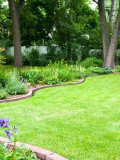 How Much Does Garden Edging Cost?