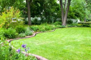 Read more about the article How Much Does Garden Edging Cost?