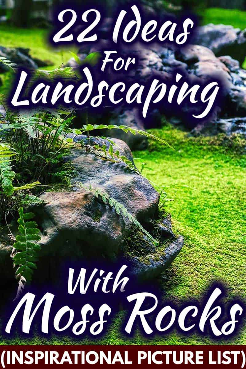 22 Ideas for Landscaping with Moss Rocks [Inspirational Picture List]