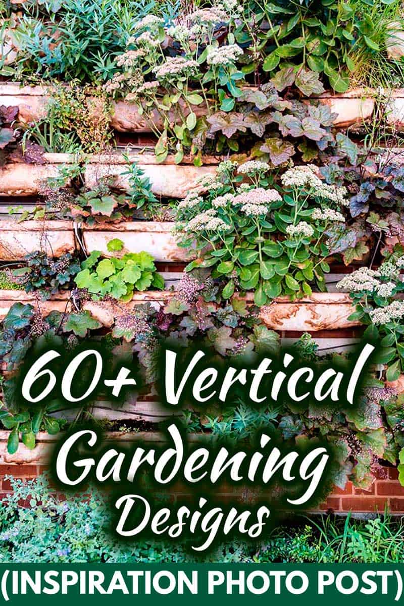 60+ Vertical Gardening Designs (Inspiration Photo Post)