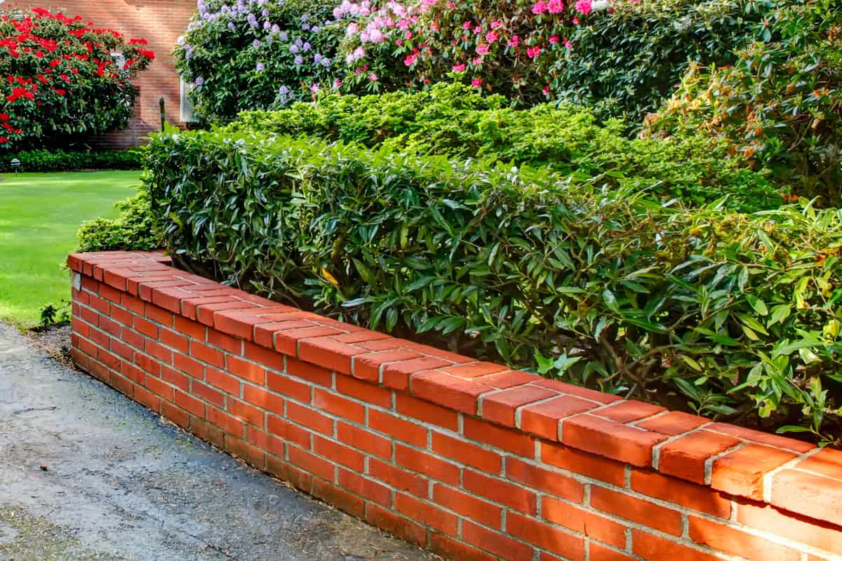 Brick Garden Edging [Ideas, Tips and Pictures!]