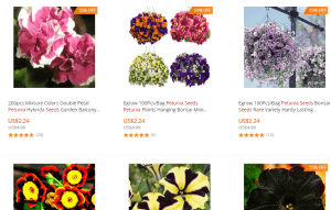 Banggood website product page for Petunia Seeds