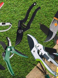 Best Garden Edging Shears [10 Options Every Gardner Should Know]