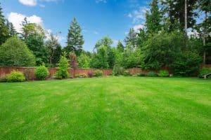 Read more about the article Should You Dethatch Or Aerate A Lawn First?
