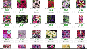 Discount99 website product page for Petunia Seeds
