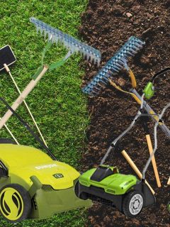 10 Best Lawn Dethatcher Rakes