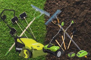 Read more about the article 10 Best Lawn Dethatcher Rakes