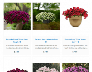 Harriss Seeds website product page for Petunia Seeds