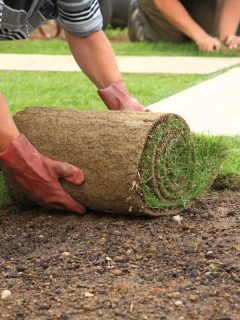 How To Improve Clay Soil For Lawns