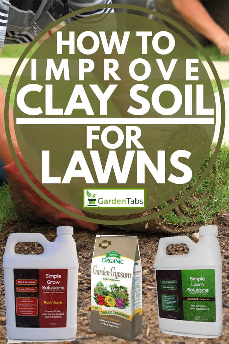 How To Improve Clay Soil For Lawns