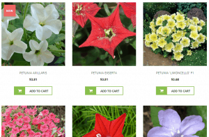 Plant World Seeds website product page for Petunia Seeds