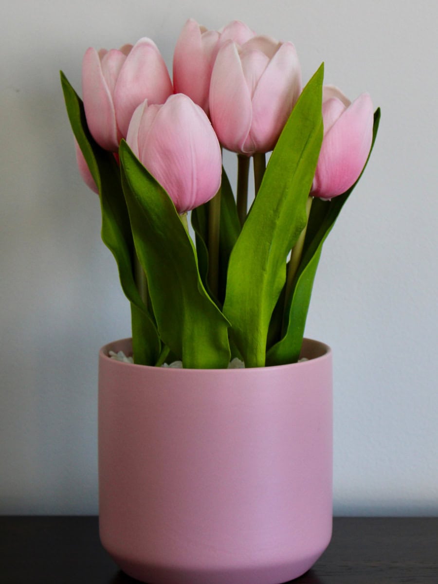 The flowers are pale pink and in a matching pink flower pot.