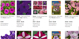 Walmart website product page for Petunia Seeds