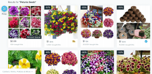 Wish website product page for Petunia Seeds