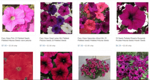 Bonanza website product page for Petunia Seeds