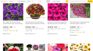 DHGate.com website product page for Petunia Seeds