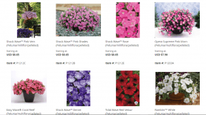 Stokes Seeds website product page for Petunia Seeds