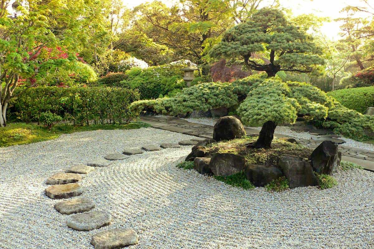 Beautiful zen garden by summer morning