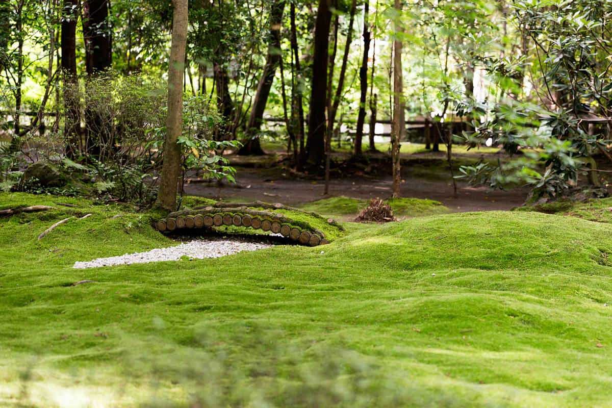 Beautiful zen garden in japan