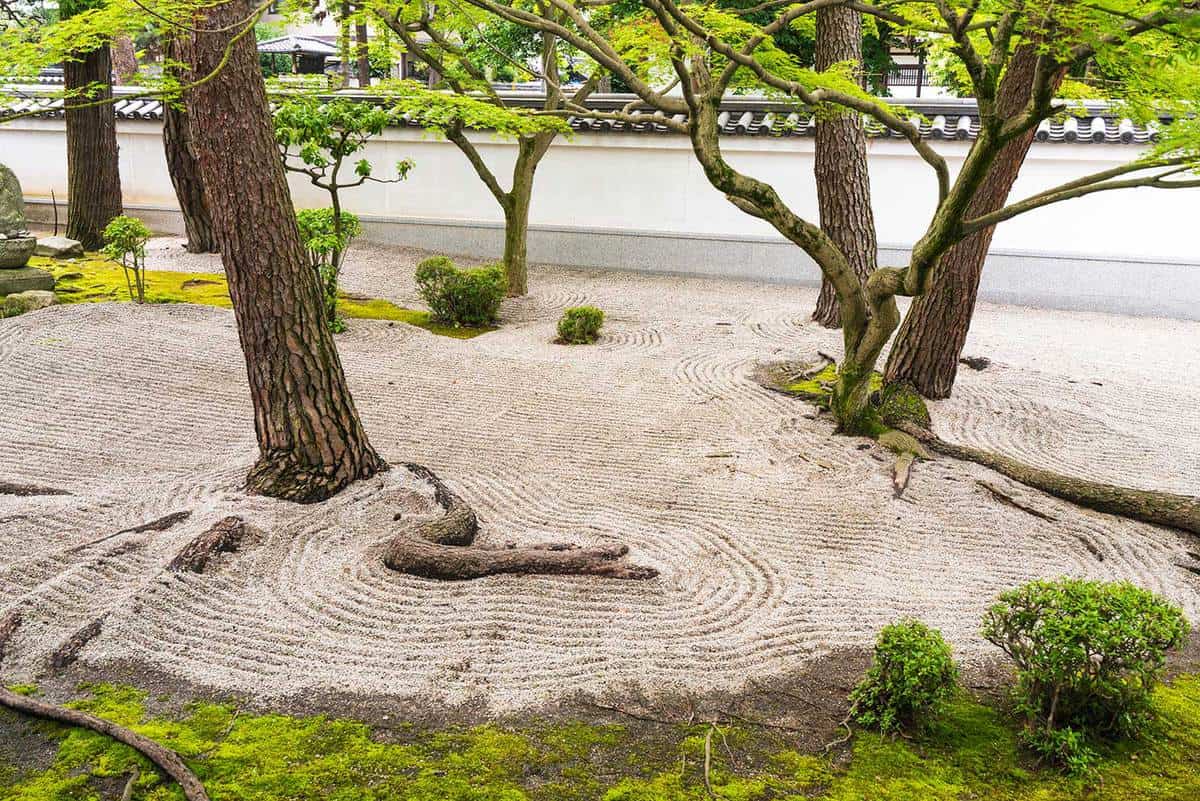 Detail from zen garden with rocks, moss, trees and roots with white wall background