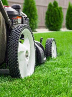 Can You Mow Over Lawn Edging? [Mow Strips 101]