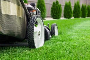 Read more about the article Can You Mow Over Lawn Edging? [Mow Strips 101]