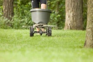 Read more about the article Can You Over-Fertilize A Lawn?