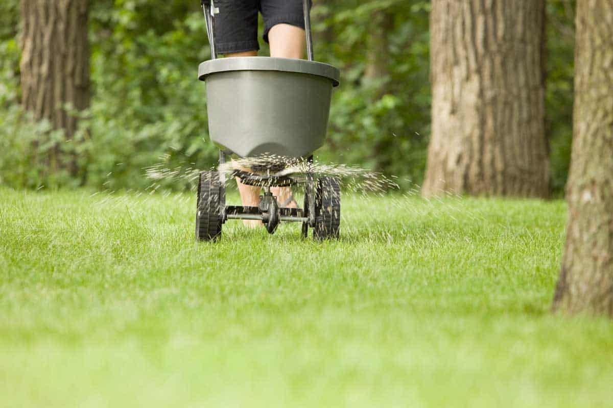 Can You Over Fertilize a Lawn?