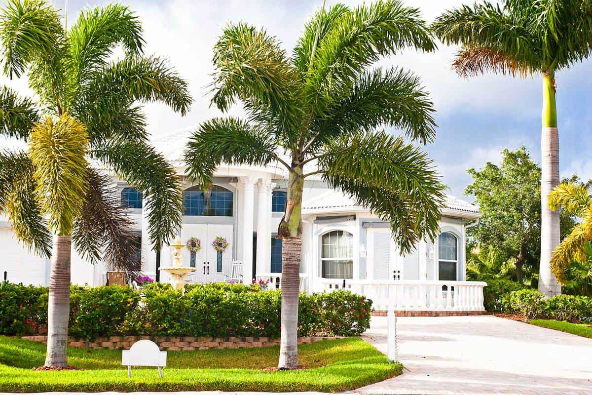 Luxury vacation home between palm trees in southern Florida
