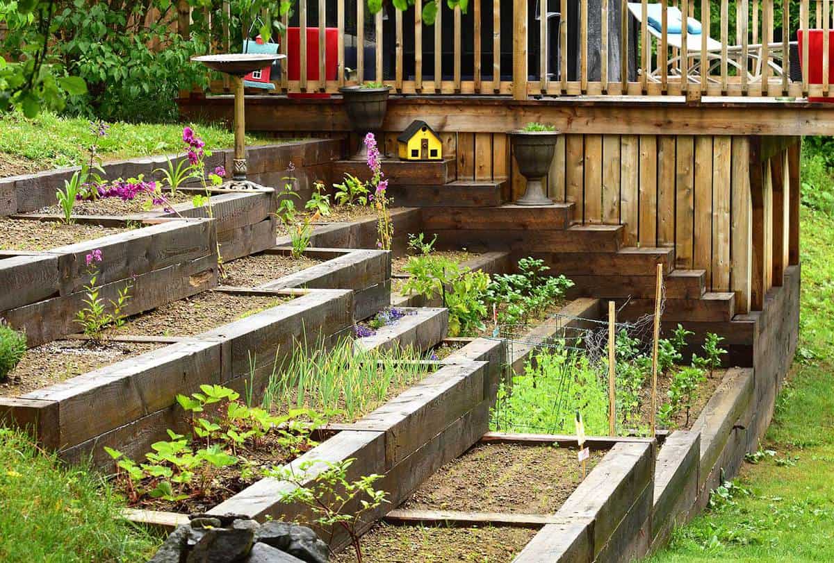 20 Box Garden Ideas [Inspiration Picture Post]   GardenTabs.com