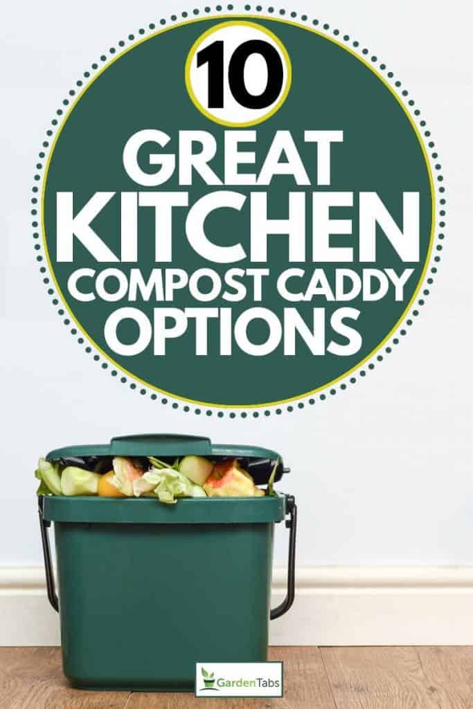 Green compost caddy composing of unused vegetables and fruits