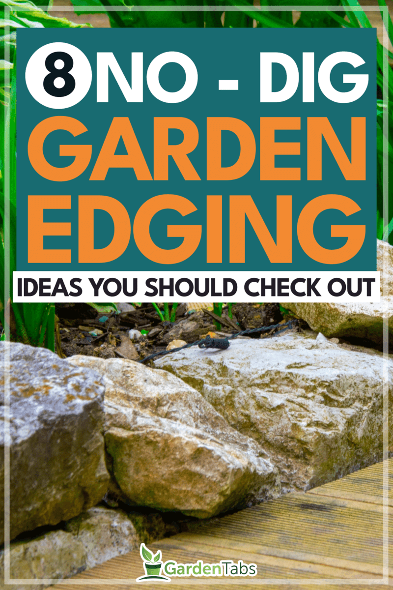 8-Awesome-No-Dig-Garden-Edging-Ideas-You-Should-Check-Out1