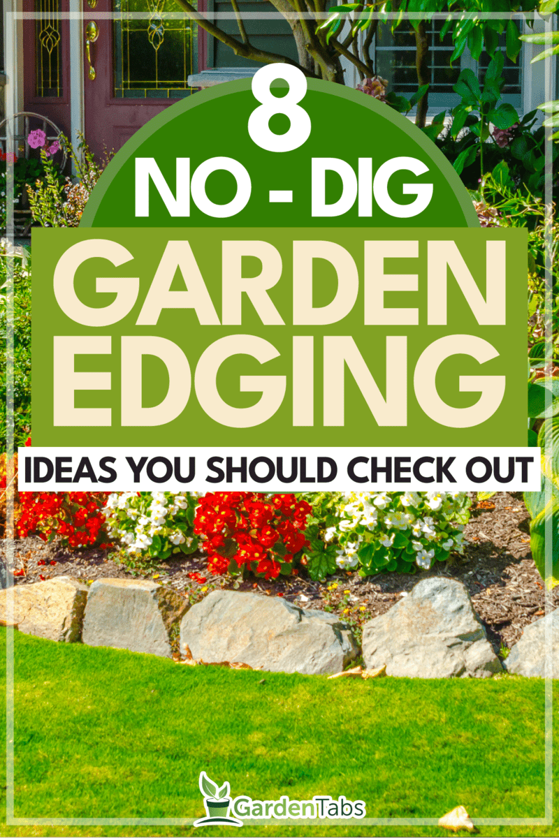 8-Awesome-No-Dig-Garden-Edging-Ideas-You-Should-Check-Out2