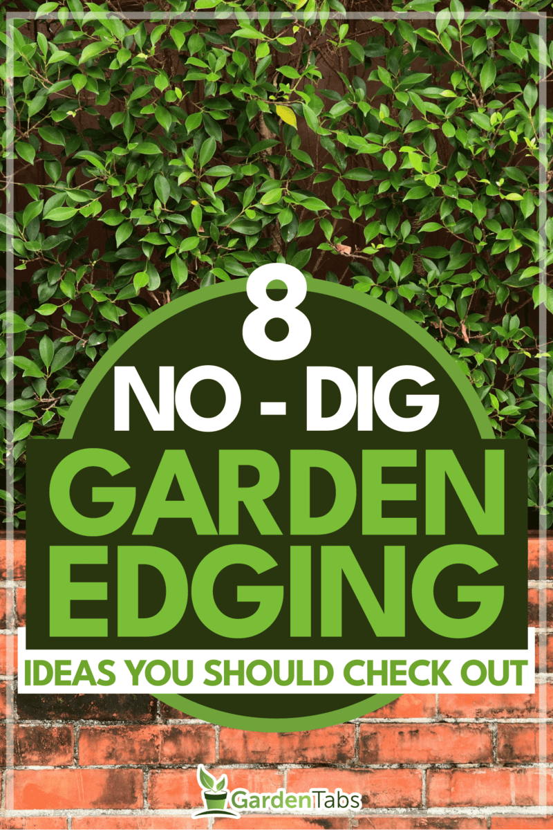 8-Awesome-No-Dig-Garden-Edging-Ideas-You-Should-Check-Out3