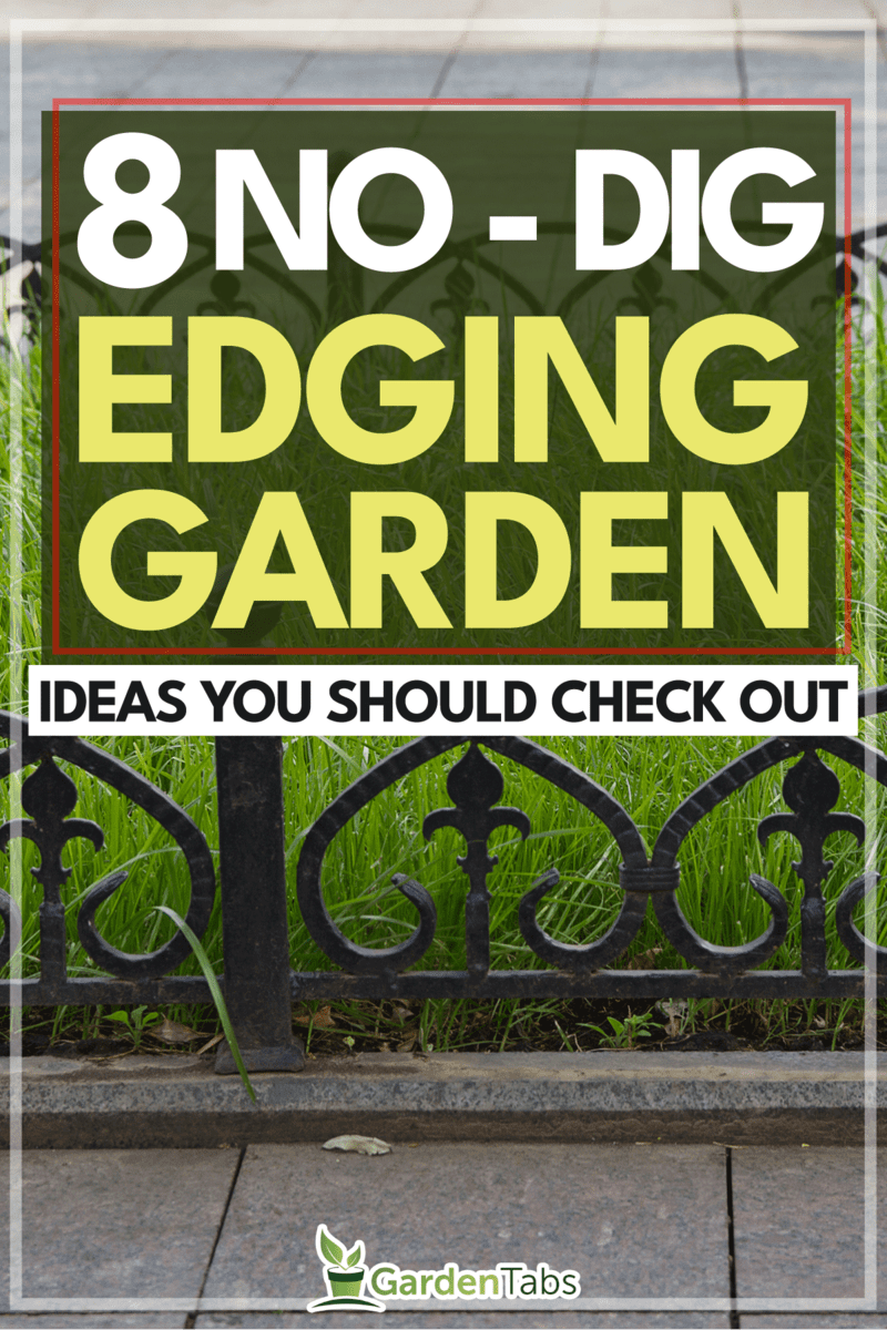 8-Awesome-No-Dig-Garden-Edging-Ideas-You-Should-Check-Out4