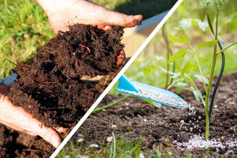 A collage of horse manure compost and a synthetic fertilizers, Compost vs. Fertilizer - What’s The Difference?