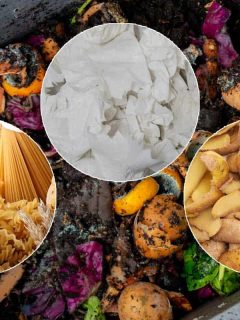 Compost bin with collage of pasta, potatoes and paper towels