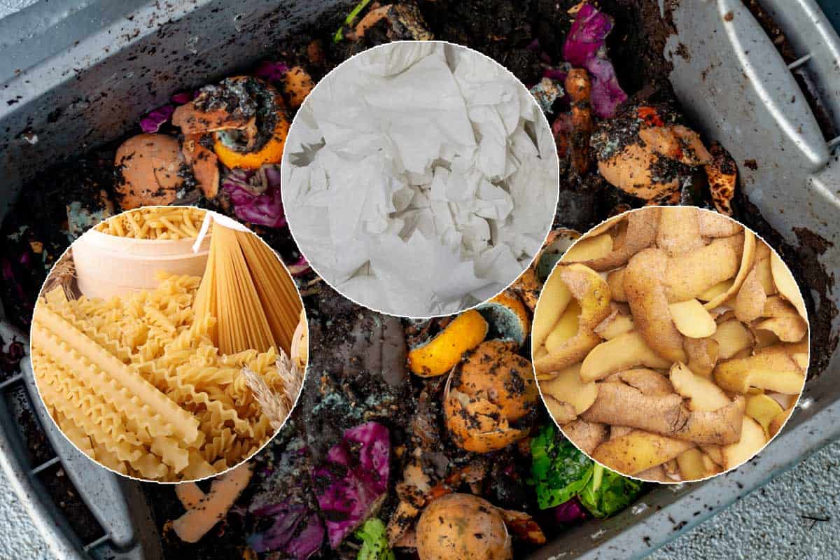 Compost bin with collage of pasta, potatoes and paper towels