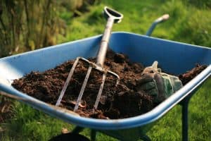 Read more about the article Where To Buy Compost [Top 40 Online Stores]