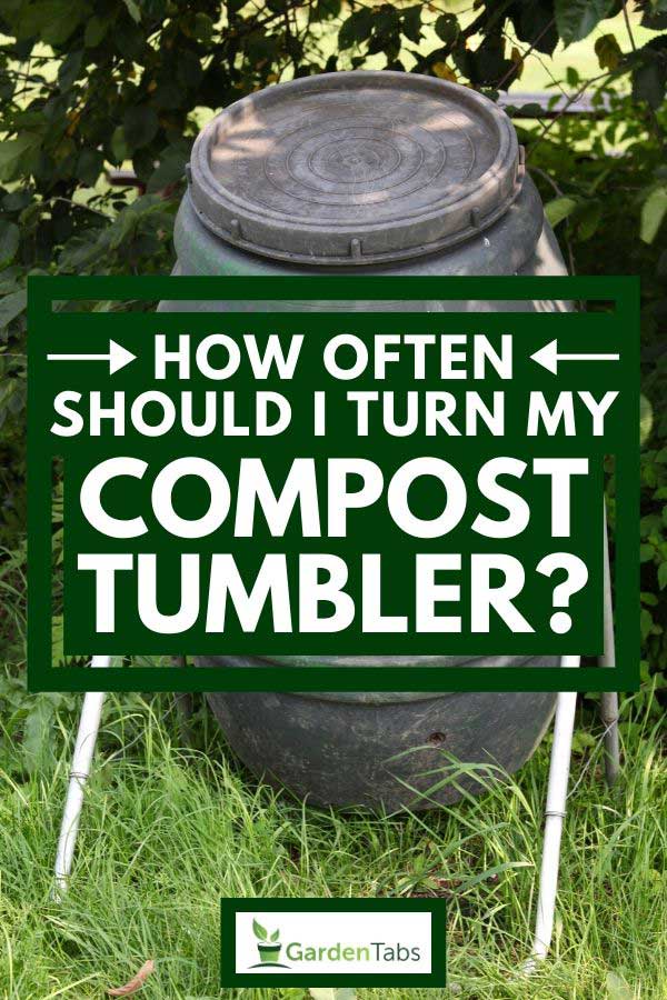 Compost tumbler outside the grassy yard