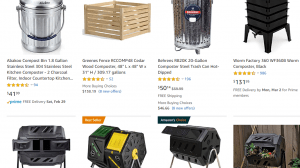 Amazon website product page