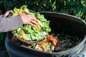 Read more about the article How Long Does Compost Last?
