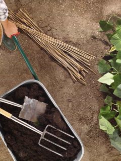 Farmer holding wheel barrow filled with compost soil for garden