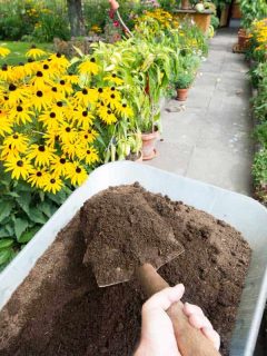 Gardener picking up compost soil and applying it to flowerbed