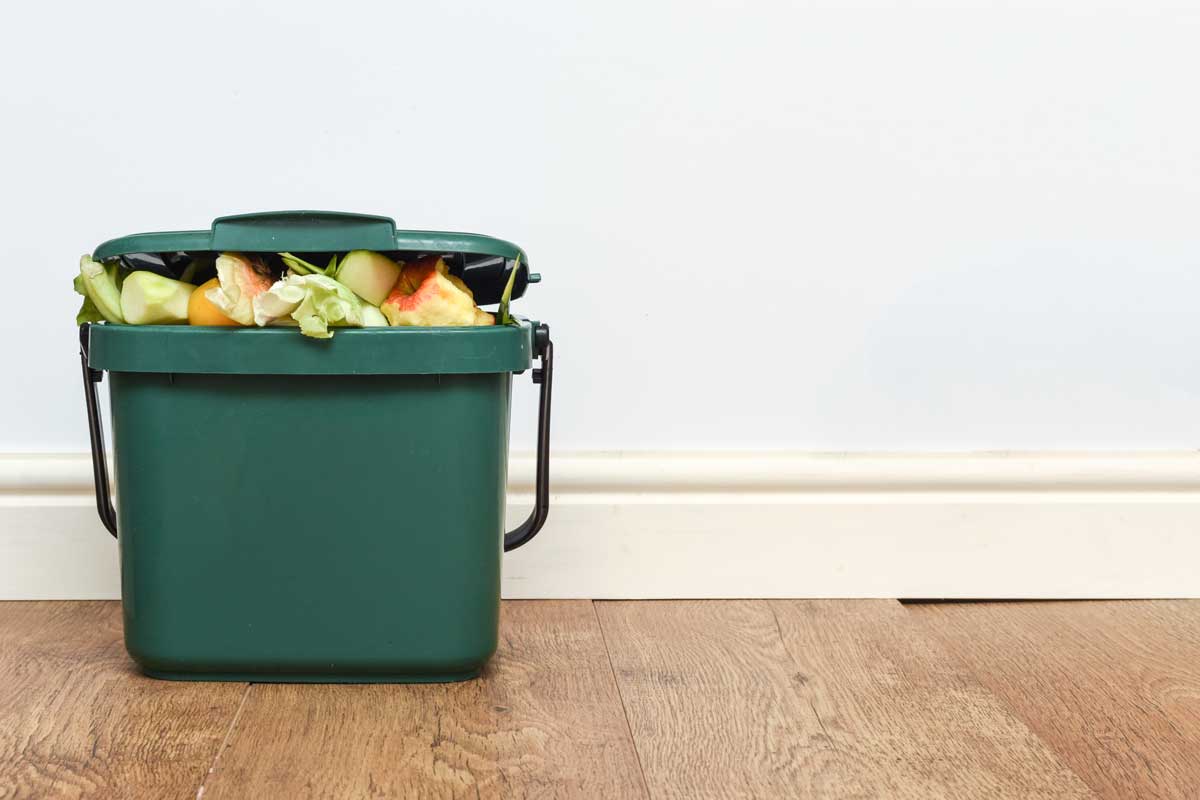 Green compost caddy composing of unused vegetables and fruits