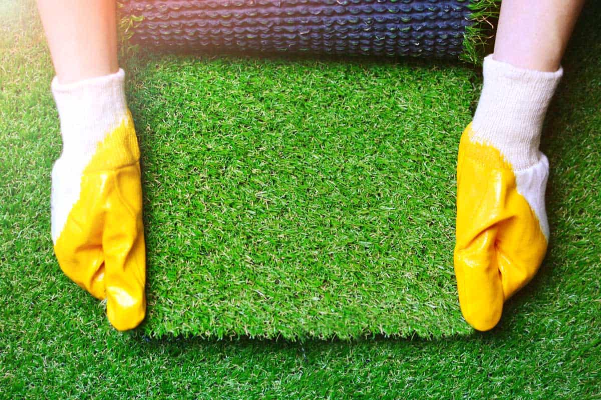Greenering with an artificial grass background. Landscape designer holds a roll of an artificial turf in his hands.